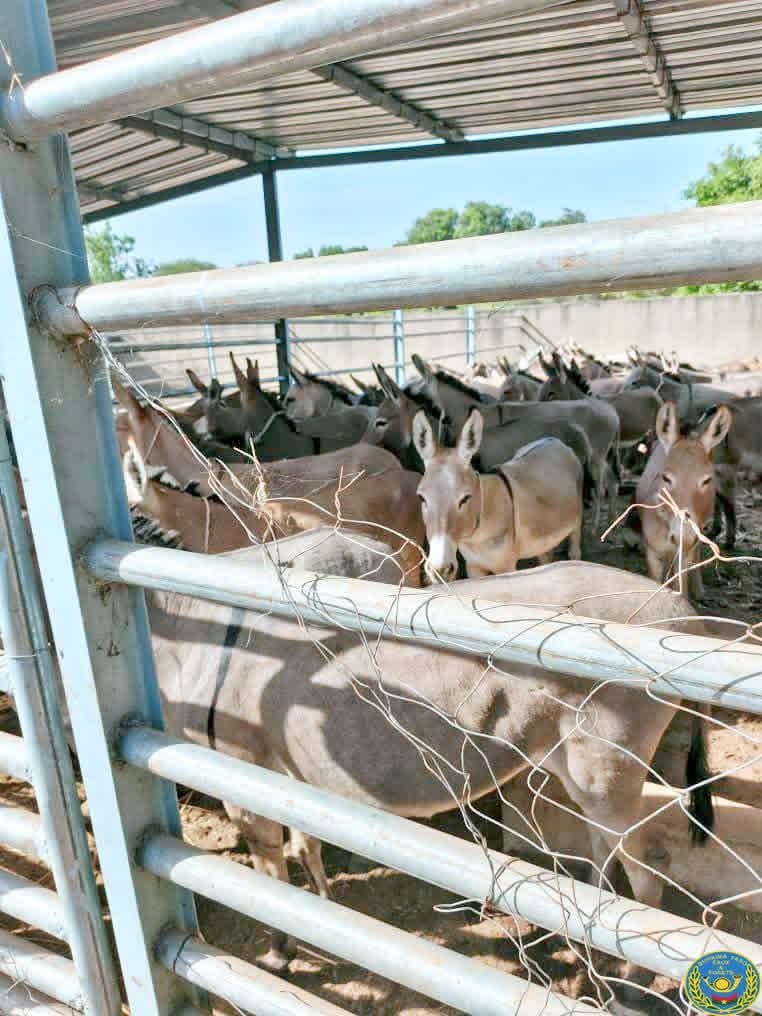 FB_IMG_1773492805282